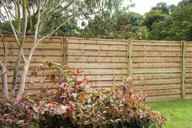 Pressure Treated Decorative Europa Plain Fence Panel 1.8m x 1.5m - Pack of 3 (Delivery Only)