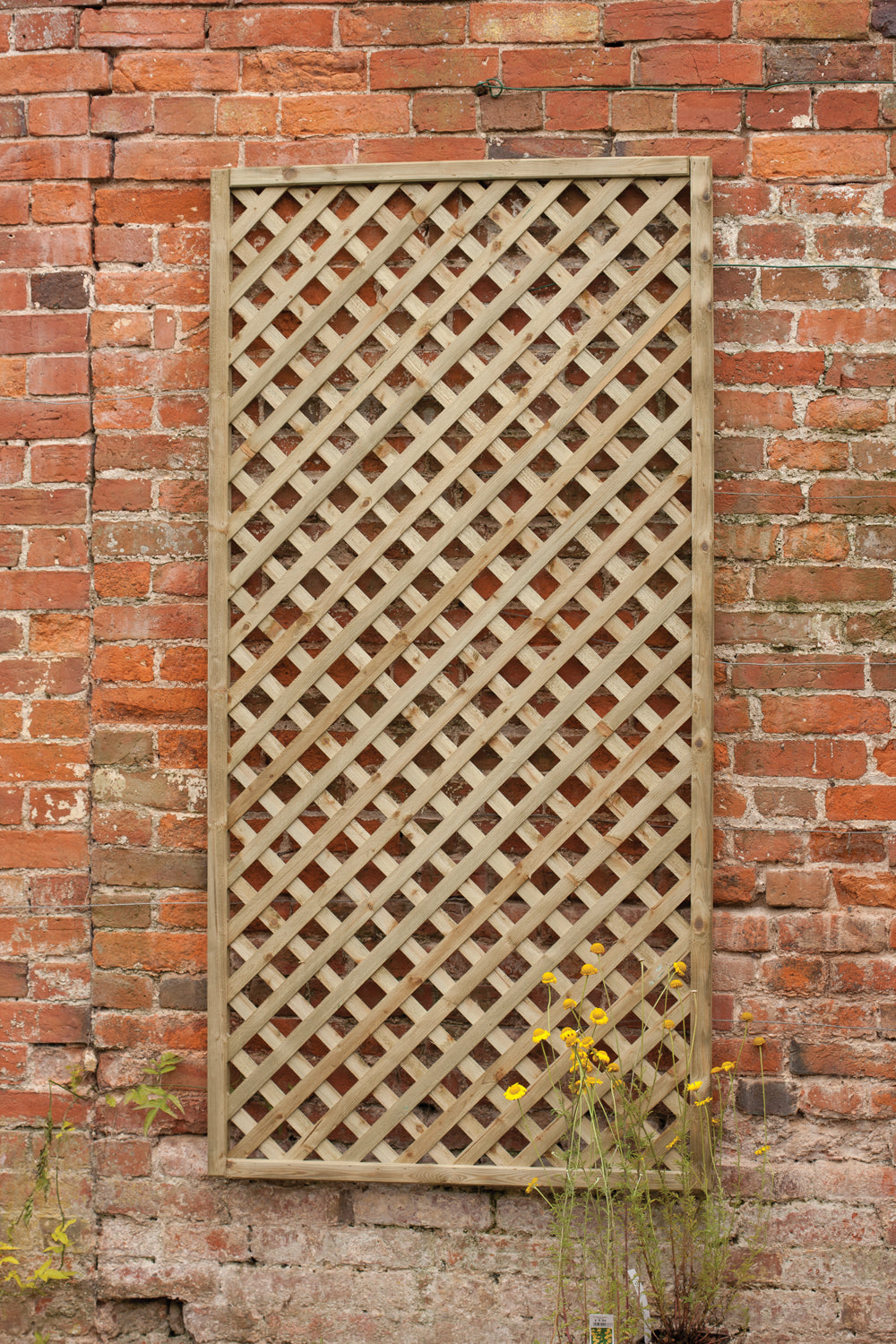 Rosemore Lattice - 180 x 90cm - Pack of 4 (Delivery Only)