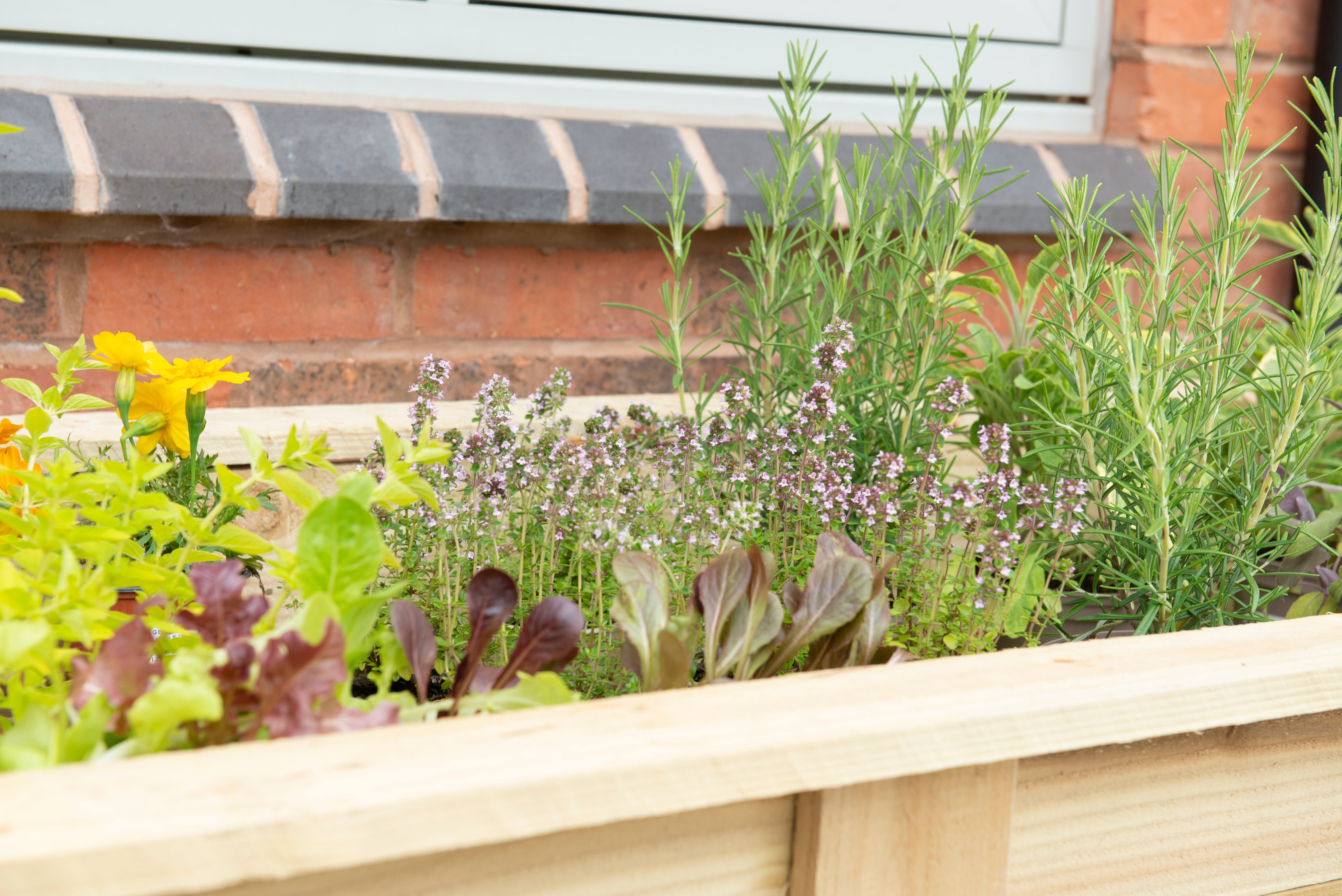 Large Kitchen Garden Planter - 1.8m (Delivery Only)