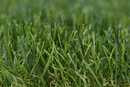 ARTIFICIAL GRASS - ADVENTURE 40MM Henshaws Roofing & Building