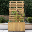 Living Screen Planter (Delivery Only)-1